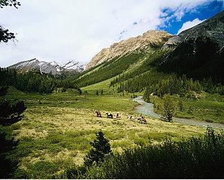 《马拉松》还在继续 甚至已经准备开始进行封闭测试了